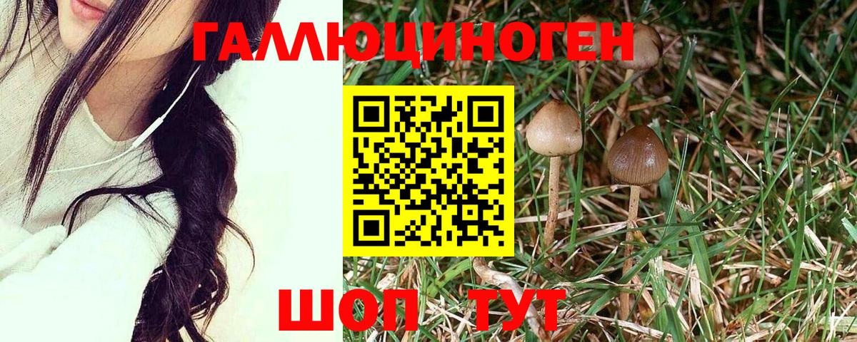 Рязань  Галлюциногенные грибы ЛСД  Вход с VPN 